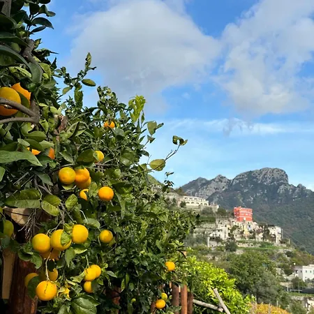 Comfort - Luxury By Italianhost Casa vacanze *